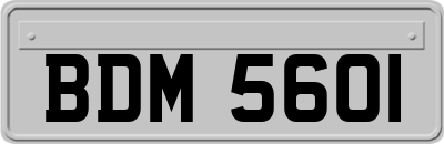 BDM5601