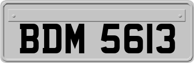 BDM5613