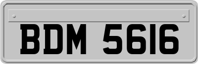 BDM5616