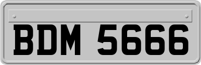 BDM5666
