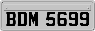 BDM5699