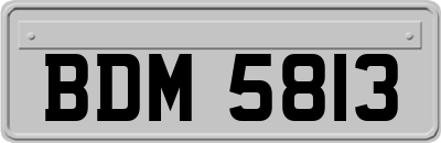 BDM5813