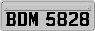 BDM5828