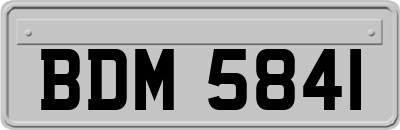 BDM5841