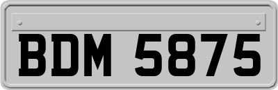 BDM5875
