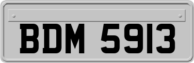 BDM5913