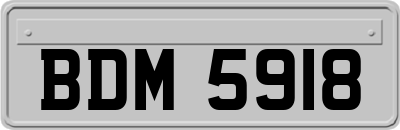 BDM5918
