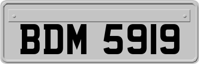 BDM5919