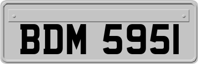 BDM5951