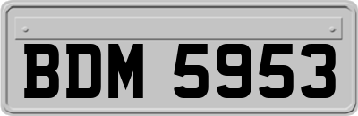 BDM5953