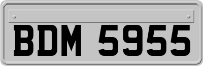 BDM5955