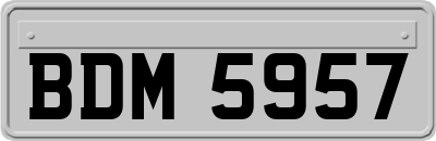 BDM5957