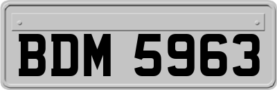BDM5963