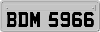 BDM5966