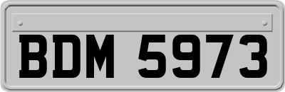 BDM5973