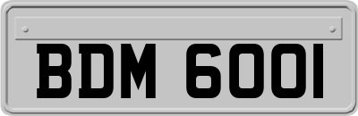 BDM6001