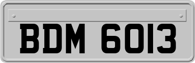 BDM6013