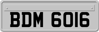 BDM6016
