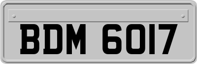 BDM6017