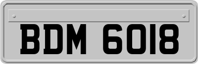 BDM6018