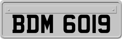 BDM6019