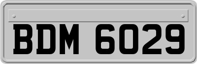 BDM6029