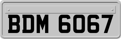 BDM6067