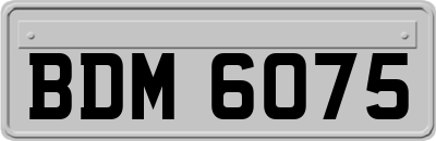 BDM6075