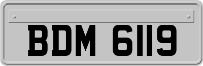 BDM6119