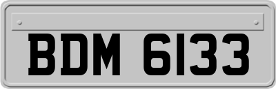 BDM6133