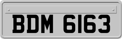 BDM6163