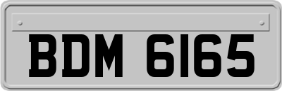 BDM6165
