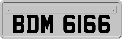 BDM6166