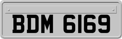 BDM6169