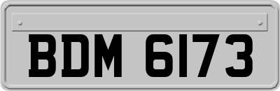 BDM6173