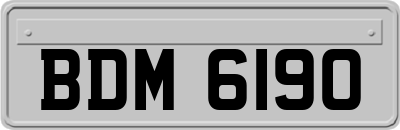 BDM6190