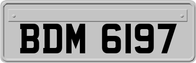 BDM6197