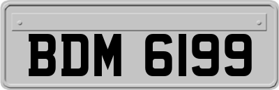 BDM6199