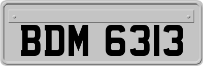 BDM6313