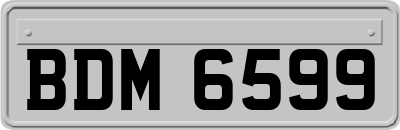 BDM6599