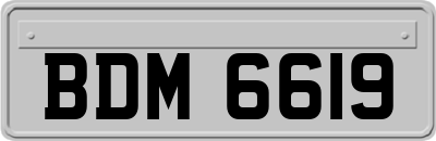 BDM6619