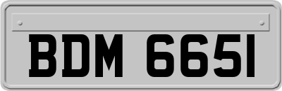 BDM6651