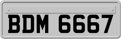 BDM6667