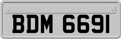 BDM6691