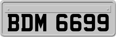 BDM6699