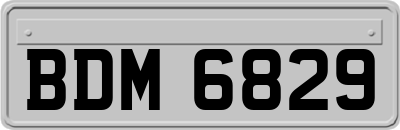 BDM6829