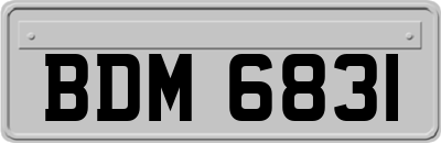 BDM6831