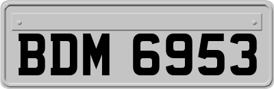 BDM6953