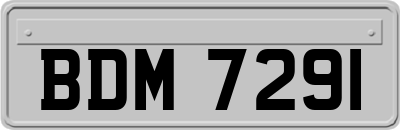 BDM7291