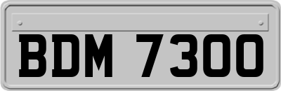 BDM7300